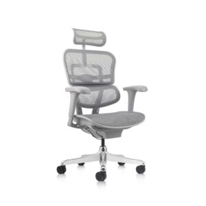 ERGOHUMAN BASIC ORIGINAL - Gris